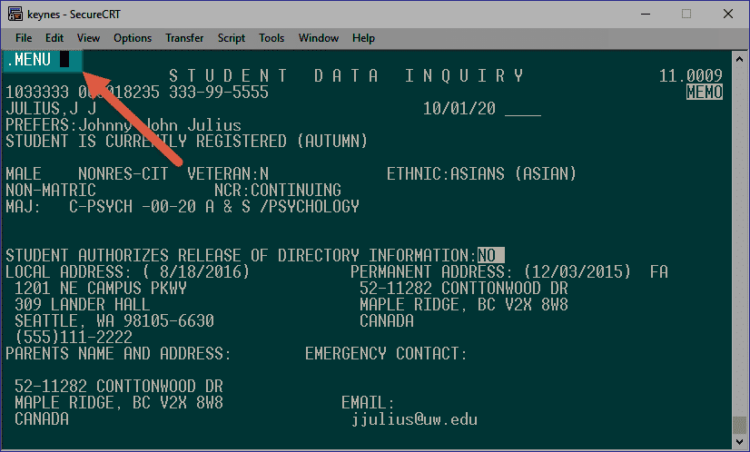 Image depicting entering .MENU into the screen command field to remain logged in